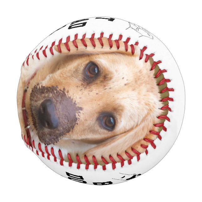 Best Dog Dad Ever 2 Photo Father's Day Baseball