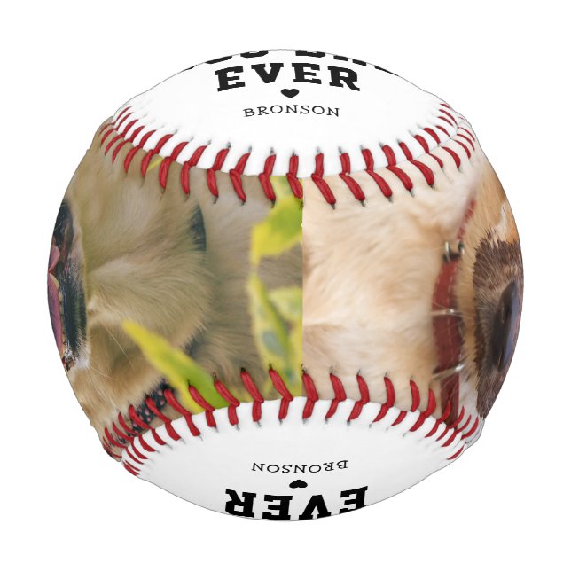Best Dog Dad Ever 2 Photo Father's Day Baseball