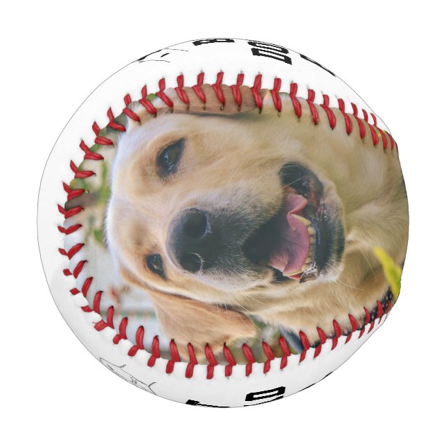 Best Dog Dad Ever 2 Photo Father's Day Baseball