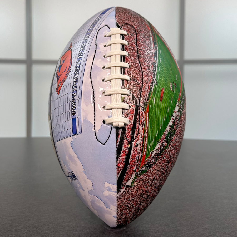 Donald W. Reynolds Razorback Stadium Football University Series(NEW)