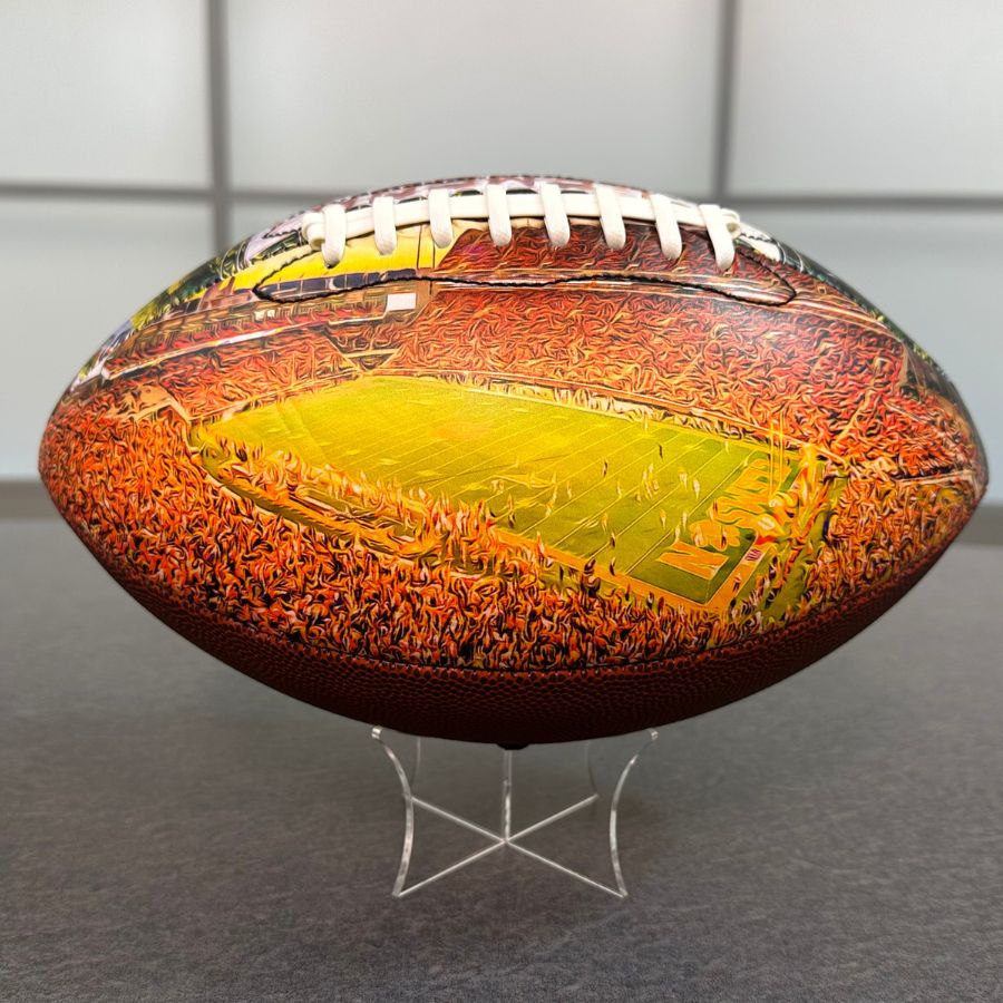 Memorial Stadium (Clemson) Football University Series （NEW)