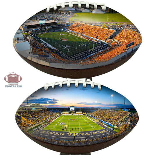 Bobcat Stadium Football University Series