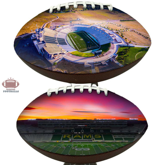 Canvas Stadium Football University Series