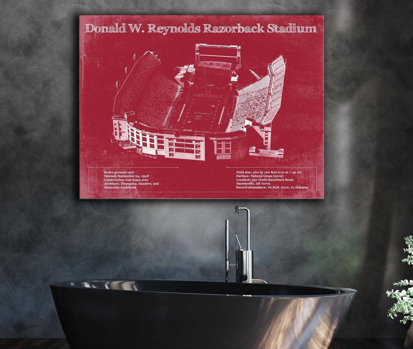 Donald W. Reynolds Razorback Stadium Art - Arkansas Razorbacks Football Art
